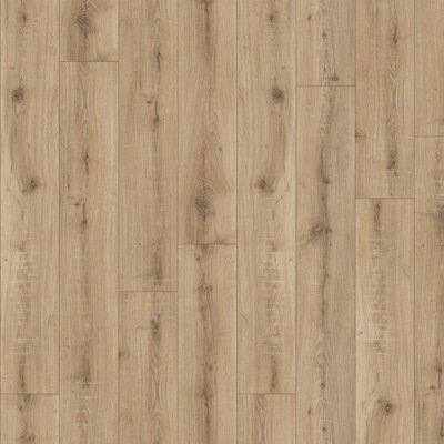 Moduleo SELECT | dřevo | Brio Oak 22247
