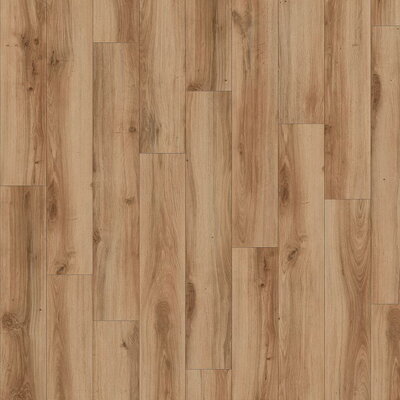 Moduleo SELECT CLICK | dřevo | Classic Oak 24844