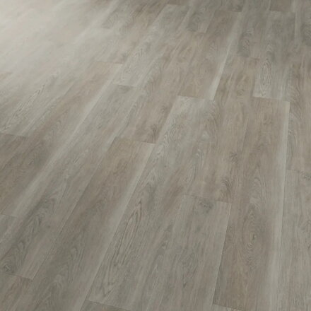 Conceptline 30130 Javor šedý - vinylová lepená podlaha