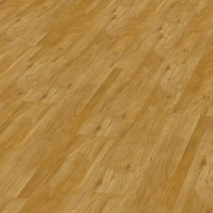 Objectfloor Expona Domestic C2 5953 Wild Oak