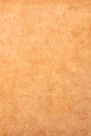 Breno | PVC | Ambient - Edith 336M (4m)