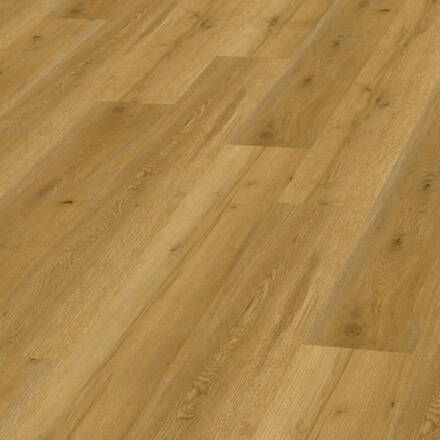 Objectfloor Expona Domestic C4 5834 Golden Valley Oak